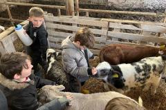 WhatsApp-Image-2024-02-23-at-17.56.16