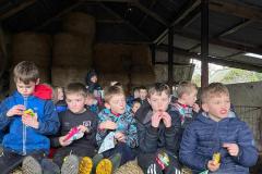 WhatsApp-Image-2024-02-23-at-17.56.27-2