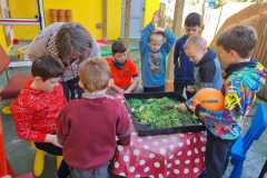 WhatsApp-Image-2024-03-22-at-17.08.58-2