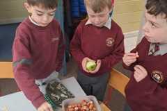 WhatsApp-Image-2024-04-20-at-09.16.41