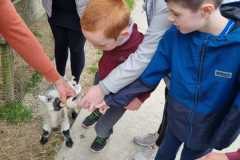 WhatsApp-Image-2024-05-07-at-14.31.31-3