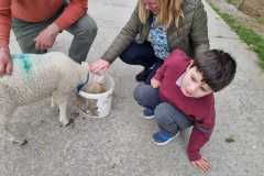 WhatsApp-Image-2024-05-07-at-14.31.31-4