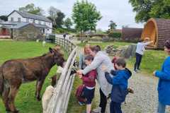 WhatsApp-Image-2024-05-07-at-14.31.33-4