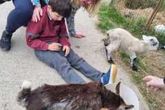 WhatsApp-Image-2024-05-07-at-14.31.33