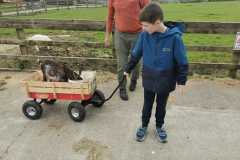 WhatsApp-Image-2024-05-07-at-17.38.34-2