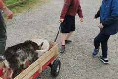 WhatsApp-Image-2024-05-07-at-17.38.35