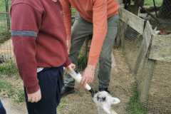 WhatsApp-Image-2024-05-07-at-17.38.36