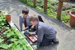 WhatsApp-Image-2024-05-13-at-16.23.18-1