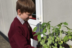 WhatsApp-Image-2021-04-14-at-15.35.54