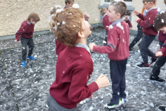 WhatsApp-Image-2023-12-12-at-14.56.11