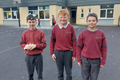 WhatsApp-Image-2023-12-12-at-17.37.42