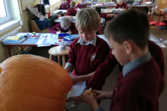 IMG_20191021_121639