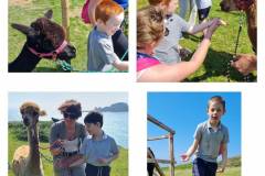 WhatsApp-Image-2023-06-01-at-17.02.52-1