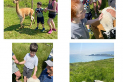 WhatsApp-Image-2023-06-01-at-17.02.52-4