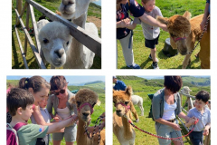 WhatsApp-Image-2023-06-01-at-17.02.53-1