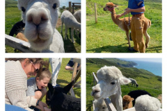 WhatsApp-Image-2023-06-01-at-17.02.53-2