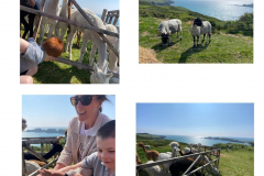 WhatsApp-Image-2023-06-01-at-17.02.53-3