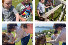 WhatsApp-Image-2023-06-01-at-17.02.53-4