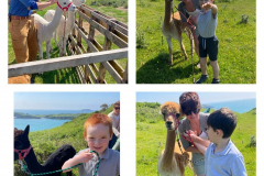 WhatsApp-Image-2023-06-01-at-17.02.53