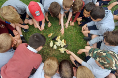 WhatsApp-Image-2023-06-07-at-16.32.21