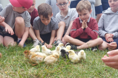 WhatsApp-Image-2023-06-07-at-16.32.22