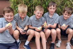 WhatsApp-Image-2023-06-07-at-16.32.24