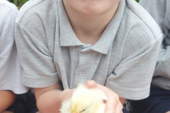 WhatsApp-Image-2023-06-07-at-16.32.25