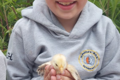 WhatsApp-Image-2023-06-07-at-16.32.26