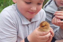 WhatsApp-Image-2023-06-07-at-16.32.27