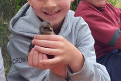 WhatsApp-Image-2023-06-07-at-16.32.29