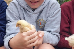 WhatsApp-Image-2023-06-07-at-16.32.30