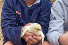 WhatsApp-Image-2023-06-07-at-16.32.31