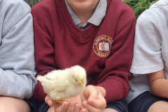 WhatsApp-Image-2023-06-07-at-16.32.33