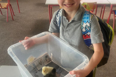 WhatsApp-Image-2023-06-07-at-16.33.29