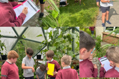 WhatsApp-Image-2023-06-07-at-21.43.37-1