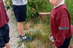 WhatsApp-Image-2023-06-12-at-10.39.51