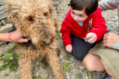 WhatsApp-Image-2023-06-15-at-08.31.33