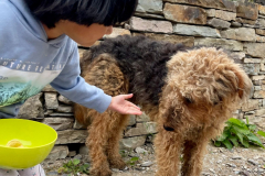 WhatsApp-Image-2023-06-15-at-08.32.27