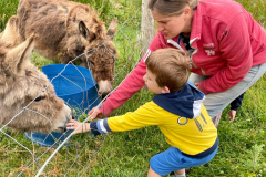 WhatsApp-Image-2023-06-15-at-08.33.24