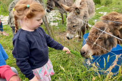 WhatsApp-Image-2023-06-15-at-08.33.25