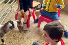 WhatsApp-Image-2023-06-15-at-08.33.58