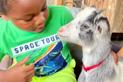 WhatsApp-Image-2023-06-15-at-08.34.02