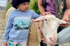 WhatsApp-Image-2023-06-15-at-08.34.08