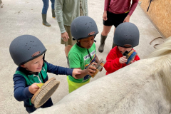 WhatsApp-Image-2023-06-15-at-08.34.42