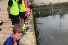 WhatsApp-Image-2023-06-15-at-15.50.15