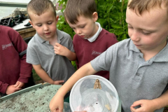 WhatsApp-Image-2023-06-16-at-14.23.30-1