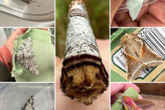 WhatsApp-Image-2023-06-16-at-14.23.35