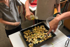 WhatsApp-Image-2023-06-16-at-15.00.39