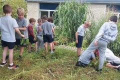 WhatsApp-Image-2023-06-20-at-12.54.01