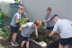 WhatsApp-Image-2023-06-20-at-12.54.02